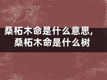 桑松土命是什么意思|什么是桑拓木命？桑柘木命的人命运好不好？